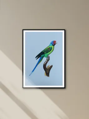 A Radiant Parrot in Miniature Painting by Mohan Prajapati