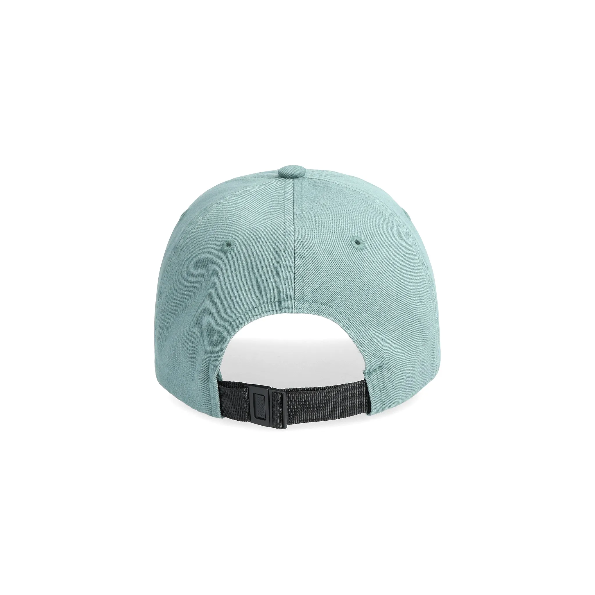 Dirt Ballcap