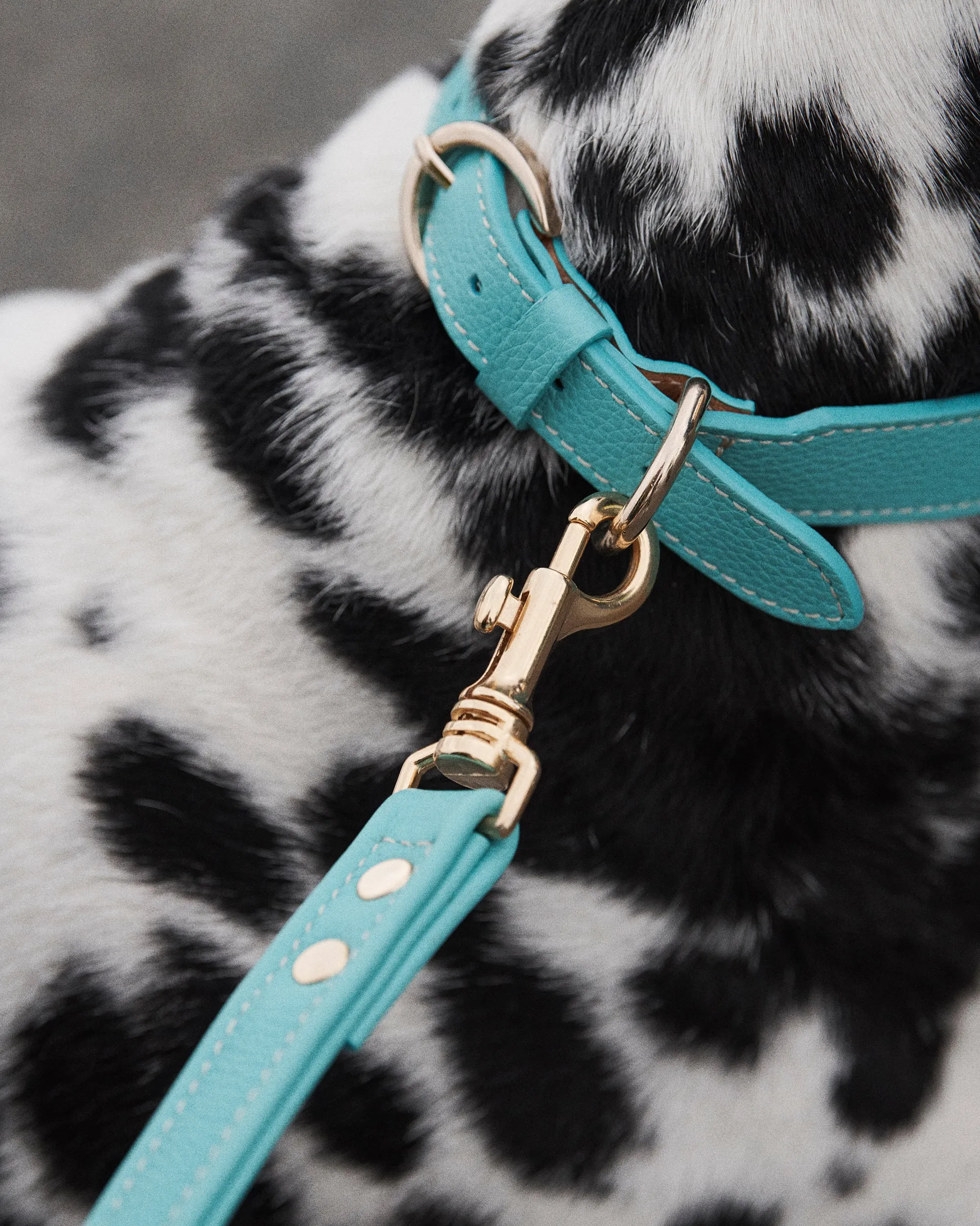 Leather Dog Leash - Soft Lilac/Gold