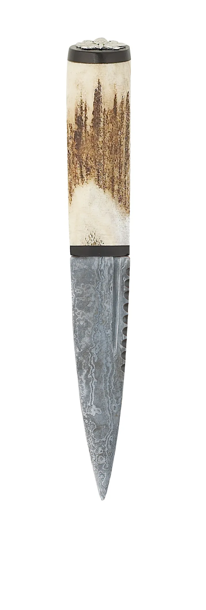 Staghorn Thistle Sgian Dubh - SD90T