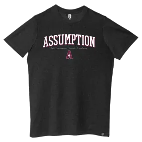 T-Shirt - Fair Trade - Grey - Assumption Mission